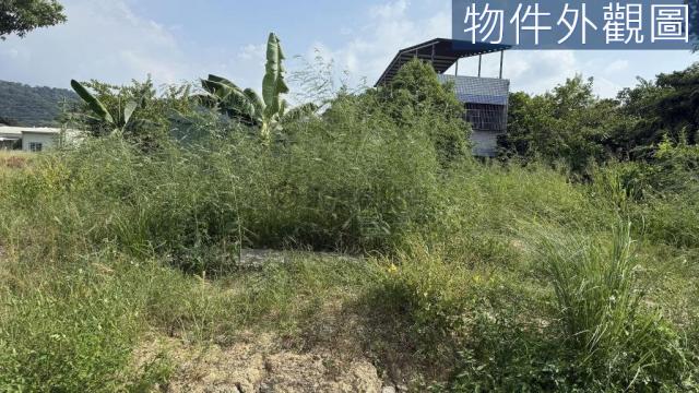 草屯中正路大面寬前後臨路農地附農舍 照片 7