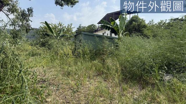 草屯中正路大面寬前後臨路農地附農舍 照片 8