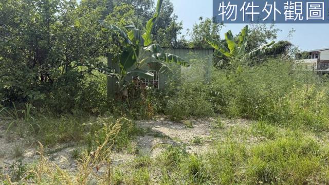 草屯中正路大面寬前後臨路農地附農舍 照片 9