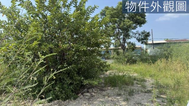 草屯中正路大面寬前後臨路農地附農舍 照片 10