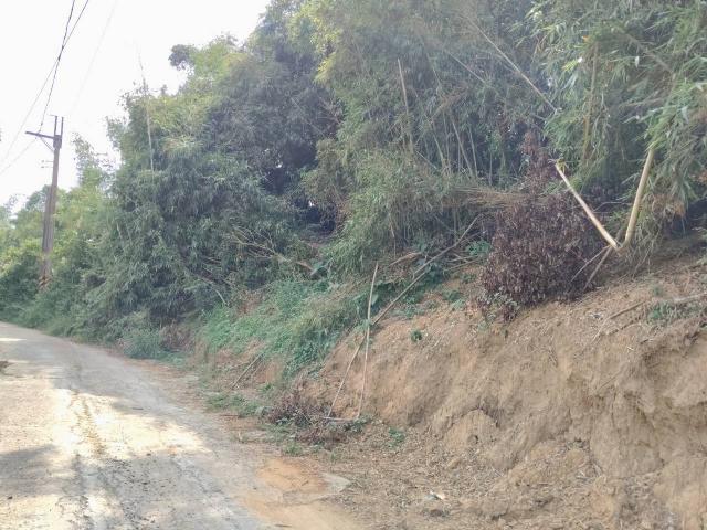 關廟旺萊旺萊休閒農地 照片 2