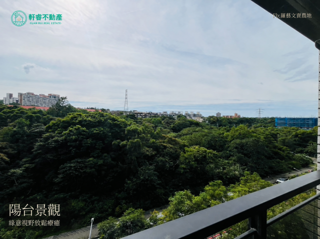 像渡假村的 大套房 泡湯 湖景 KTV 苗栗農舍農地 照片 7