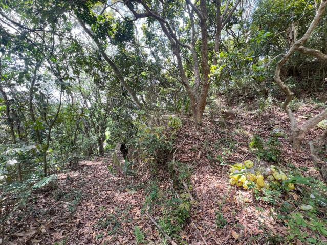 苗栗 苑裡 農地 建地 合法登記 老房子 苗栗農舍農地 照片 7