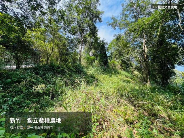 獨立產權 農地 有水有電 有景觀 社區大門管理 苗栗農舍農地 照片 2