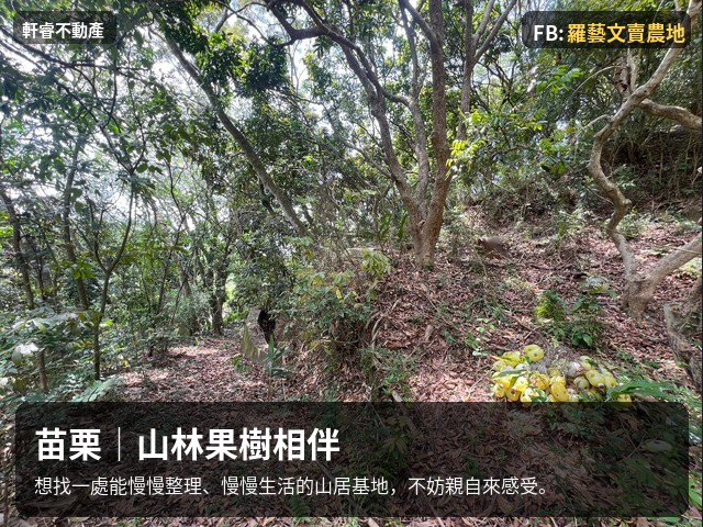苗栗 苑裡 農地 建地 合法登記 老房子 苗栗農舍農地 照片 10
