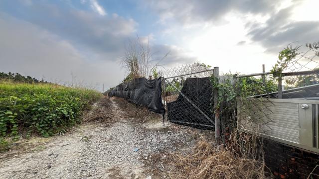 屏東內埔福泉巷熱帶水果園+資材室 南部房屋土地 照片 4