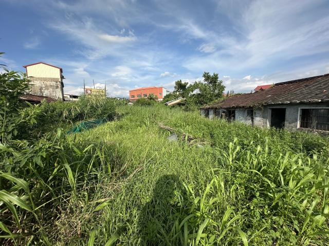 三民買屋達人 <美濃中正湖建地>住宅區+商業區建地-另有43 照片 2