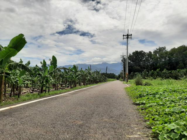 近科大路三面路農地 (長1199) 照片 4
