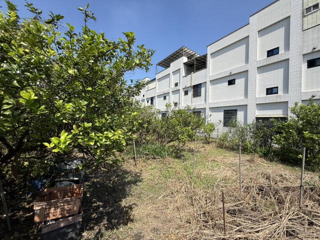 近未來高屏二快九如交流道建地(郊建608) 照片 4