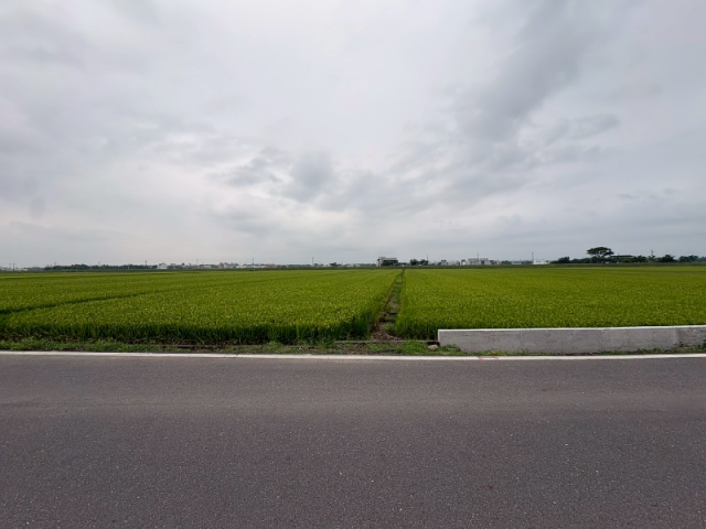 宜蘭壯圍美農地 照片 8