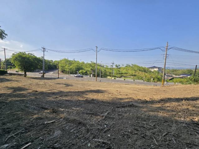 玉井20米路旁7分大面寬漂亮農 照片 1