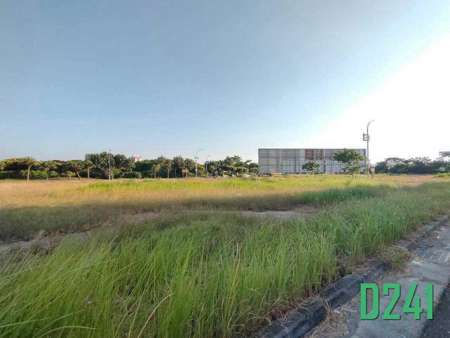 台南房地高手 安南九份子百坪朝南美建地 照片 5