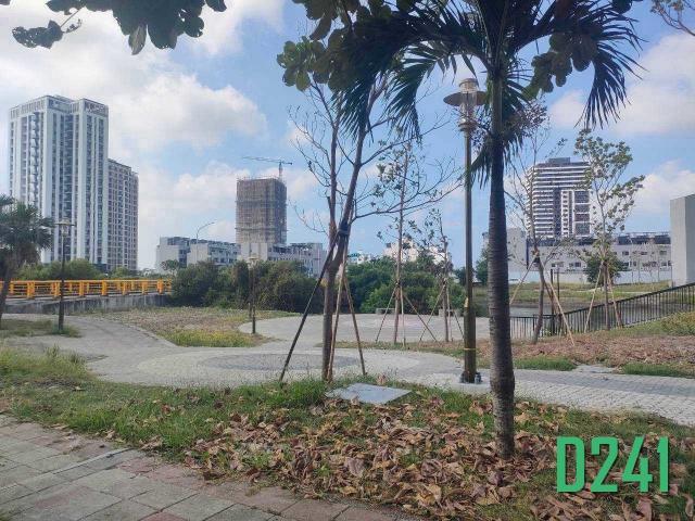 台南房地高手 安南九份子百坪朝南美建地 照片 2