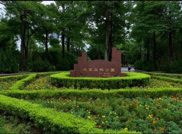 台北房仲女王 瑞安雅仕一樓+地下室店辦住 照片 16