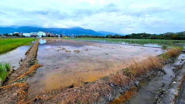 宜蘭土地房屋｜冬山河旁足坪超便宜農地 照片 2