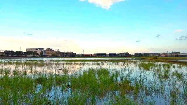 宜蘭土地房屋｜冬山河旁足坪超便宜農地 照片 10