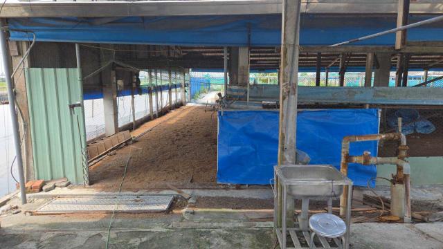 大林陳井寮大地坪鴨舍 照片 1