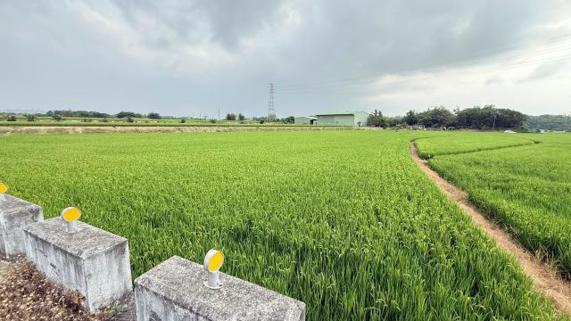 民雄東勢湖大地坪農地 照片 7