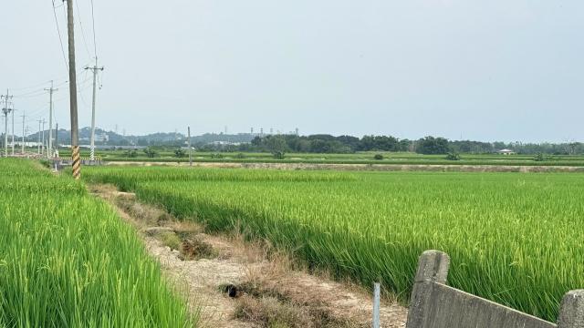 民雄東勢湖大地坪農地 照片 10