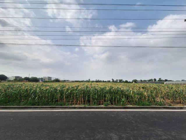 太保溪南特定農業區大坪數農地 照片 1