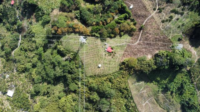 998 萬高性價比、附合法資材室與 400 株高接梨的優勢 照片 2