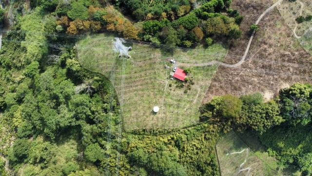 998 萬高性價比、附合法資材室與 400 株高接梨的優勢 照片 3