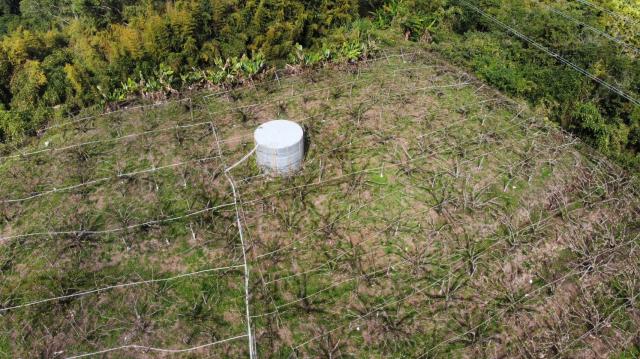 998 萬高性價比、附合法資材室與 400 株高接梨的優勢 照片 6