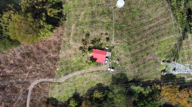 998 萬高性價比、附合法資材室與 400 株高接梨的優勢 照片 1