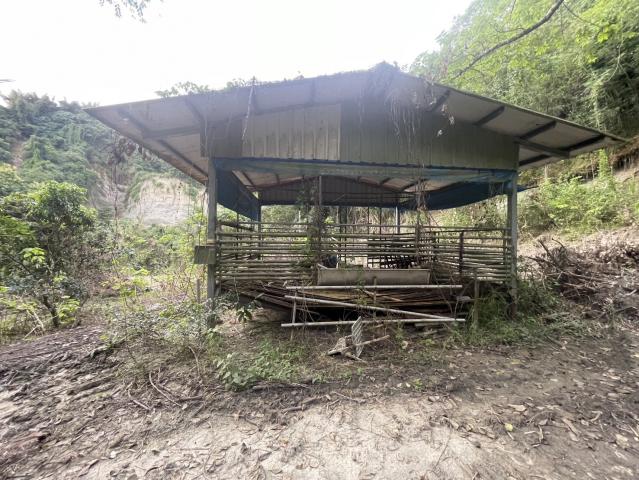 龍崎區近文衡殿旁一座山九分農地送未保存建物 照片 21
