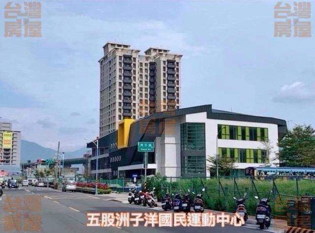 洲子洋重劃區芳洲PARK3房車 照片 16