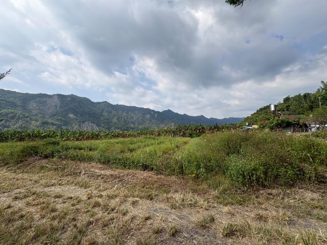 高雄房產達人 甲仙 中和巷旁 平坦4分 好進出 優質農地 照片 4