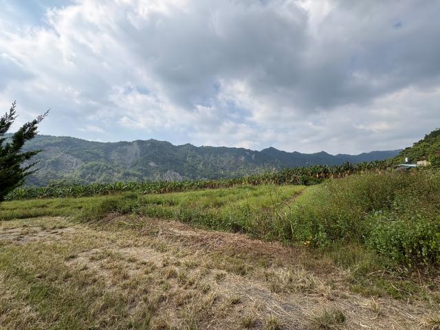 高雄房產達人 甲仙 中和巷旁 平坦4分 好進出 優質農地 照片 5