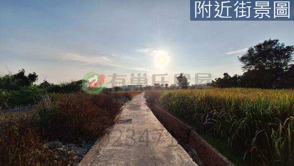 只要265萬！清水大面寬農地，附三七五租約 照片 7