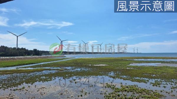 只要265萬！清水大面寬農地，附三七五租約 照片 10