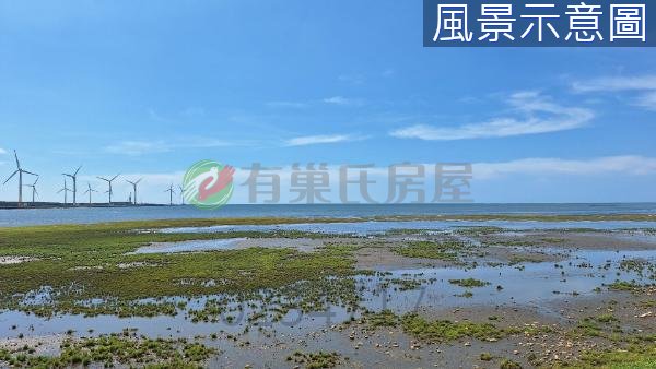 只要265萬！清水大面寬農地，附三七五租約 照片 12
