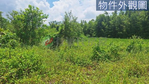 509坪特殊地形巧妙規劃，附三七五租約超值農地！ 照片 2