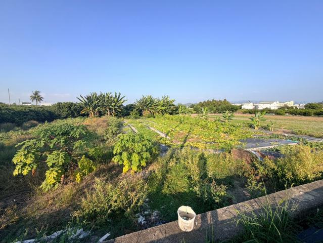 草屯土地推薦 原新街美農地 照片 4