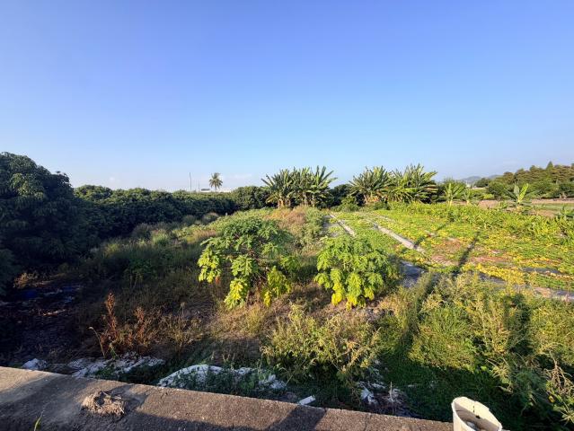 草屯土地推薦 原新街美農地 照片 5