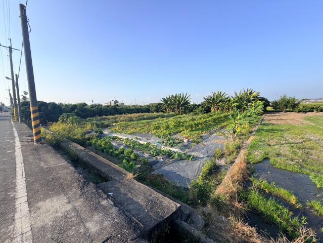 草屯土地推薦 原新街美農地 照片 6