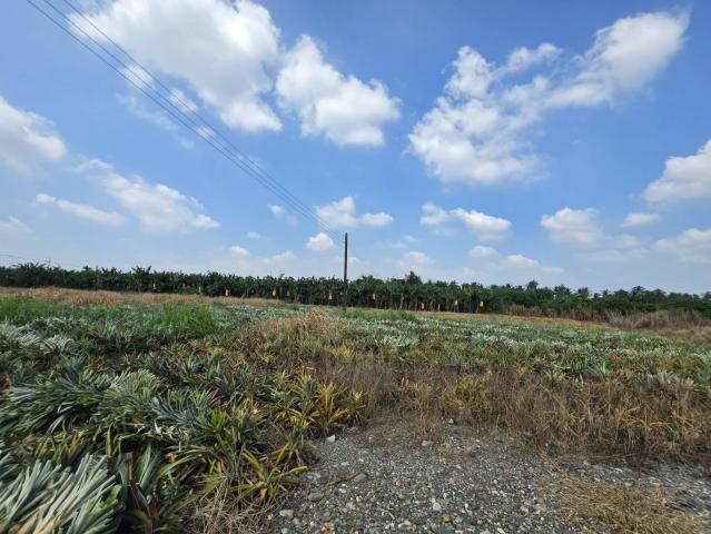 潮州買房賣房推薦 新上架~萬巒近內埔市區無敵山景美農地 照片 2