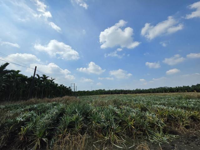 潮州買房賣房推薦 新上架~萬巒近內埔市區無敵山景美農地 照片 7