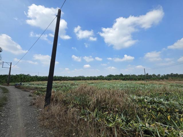 潮州買房賣房推薦 新上架~萬巒近內埔市區無敵山景美農地 照片 8