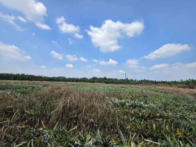 潮州買房賣房推薦 新上架~萬巒近內埔市區無敵山景美農地 照片 9