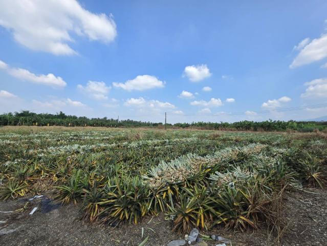 潮州買房賣房推薦 新上架~萬巒近內埔市區無敵山景美農地 照片 1