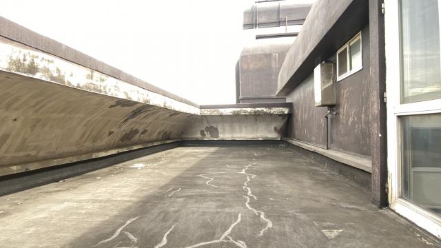 A24_龍安特區大三房車 照片 4