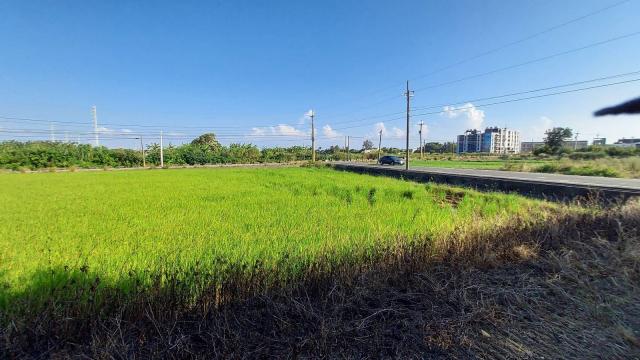 H39_永安國小 農+建 雙面路 照片 4