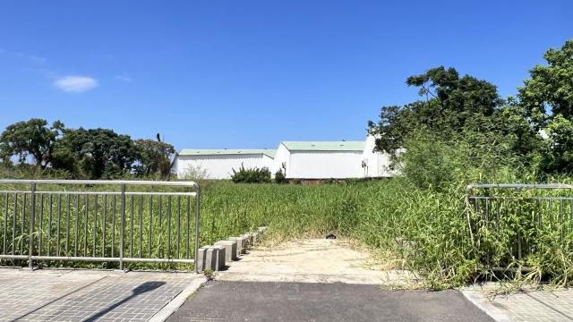 H42_大園正30米航城路都內農 照片 10