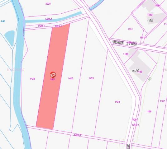 H48_新屋區後湖路農地 照片 1