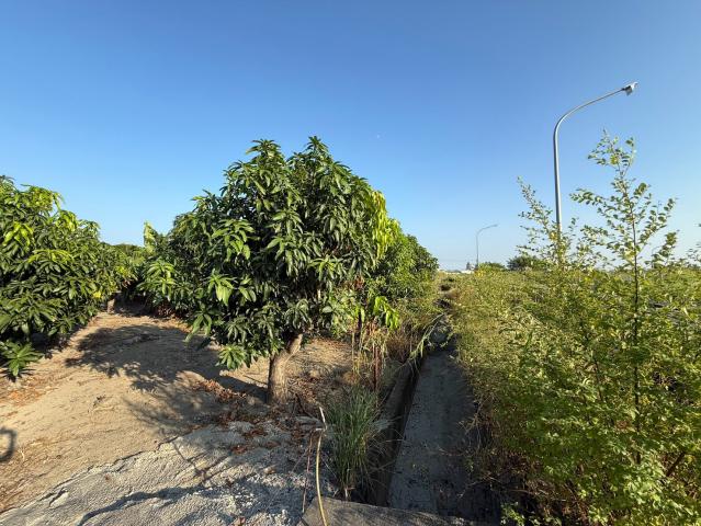【南科置產顧問】善化鎮內都計農地 照片 9