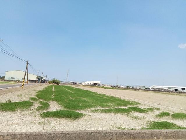 高雄土地職人路竹下坑近交流道大面寬方正美農地 照片 2